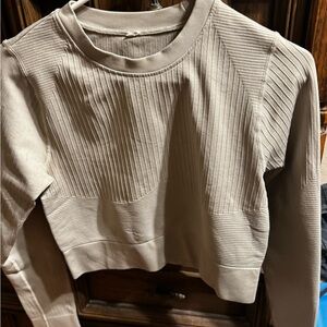DSG Ribbed Long Sleeve Crop Top in Beige